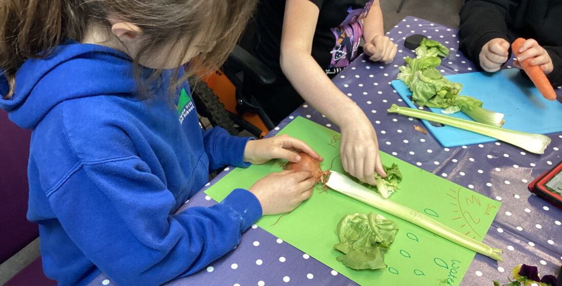 Learners from Highgate Hill House School explore gardening, vegetables and outdoor learning during the Fantastic Foods Workshop at RHS Rosemoor in Devon.
