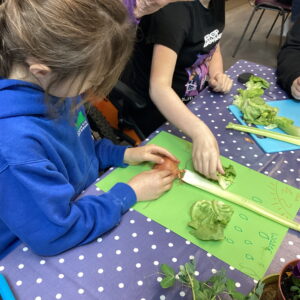 Learners from Highgate Hill House School explore gardening, vegetables and outdoor learning during the Fantastic Foods Workshop at RHS Rosemoor in Devon.
