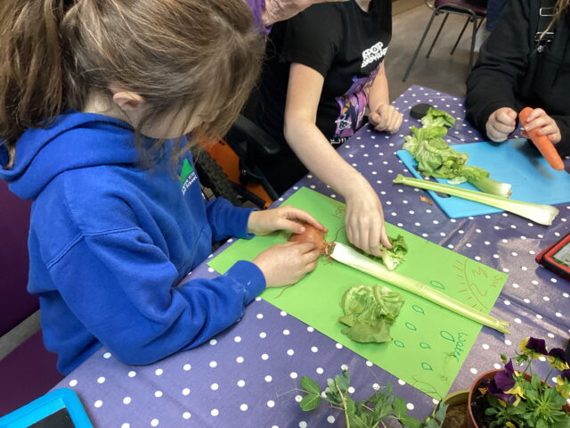 Learners Enjoy Hands-On Outdoor Learning Experience at RHS Rosemoor